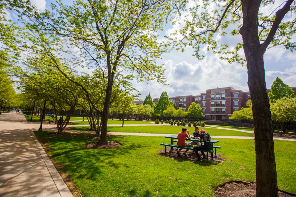 DePaul Quad